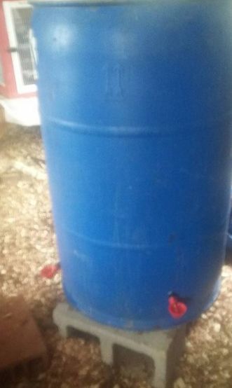 4 FeedAmerica Poultry Water Drink Cup 